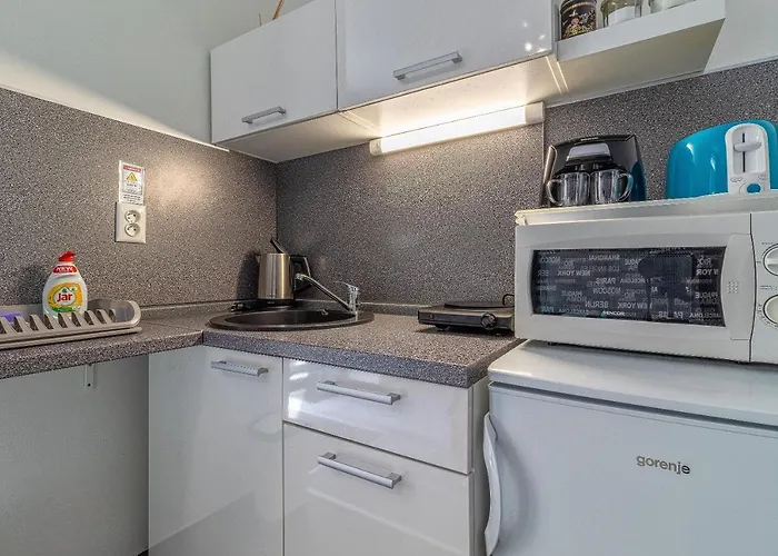 アパート -jonashouse Near The Center With A Balcony *